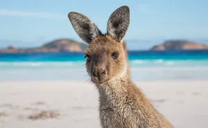 I Spent 9 Months Road Tripping The Big Lap Of Australia And Took These Amazing Photos To Remember It!