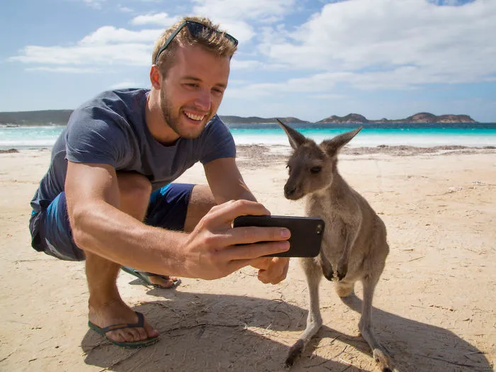 My Friend On The Beach Taking A Selfie With A Wild Kangaroo! Esperance, WA