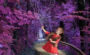Please Photoshop This Photo So It Looks More Magical