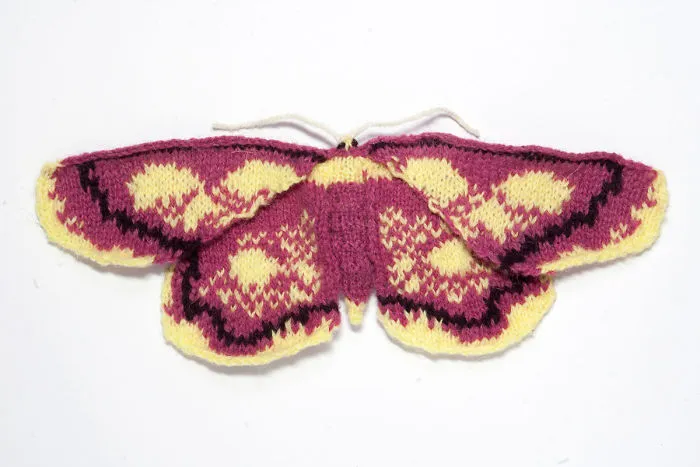 Purple Bordered Gold
