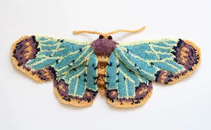 I Knit Different Moths To Reveal Their Spectacular Variety