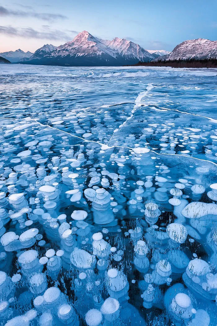 Methane Bubbles, Abraham Lake