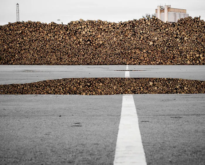 A Pile Of Timber Reflecting In A Puddle