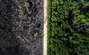 166 Incredible Photos You Won't Believe Are Not Photoshopped
