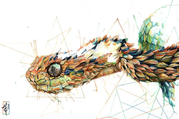 I Paint Animals From My Dreams In Watercolour