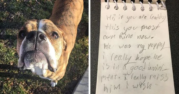 This Dog Was Returned To Shelter, But It Had This Letter