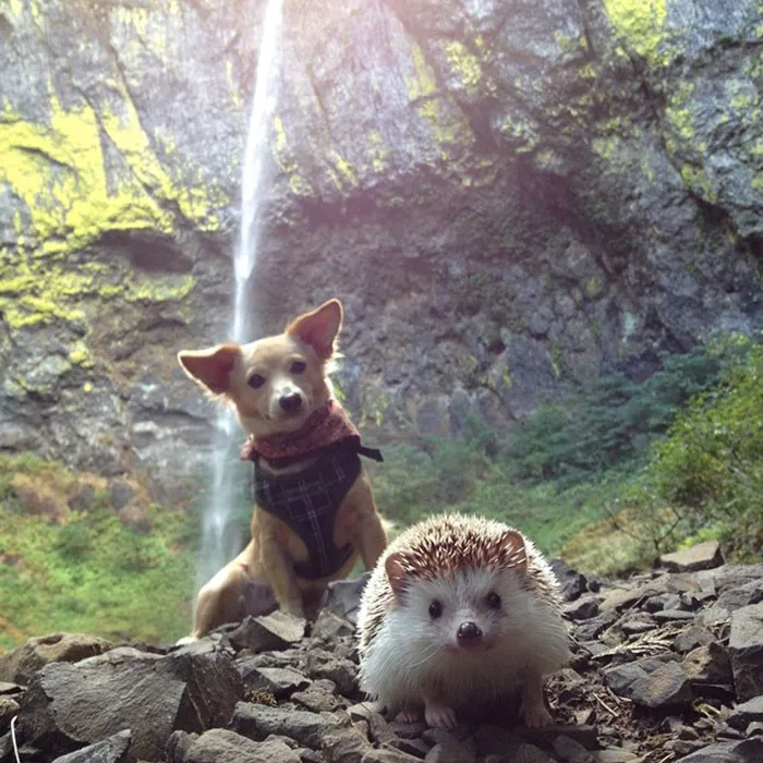 The Cutest Duet To Sign A Record Deal Ever