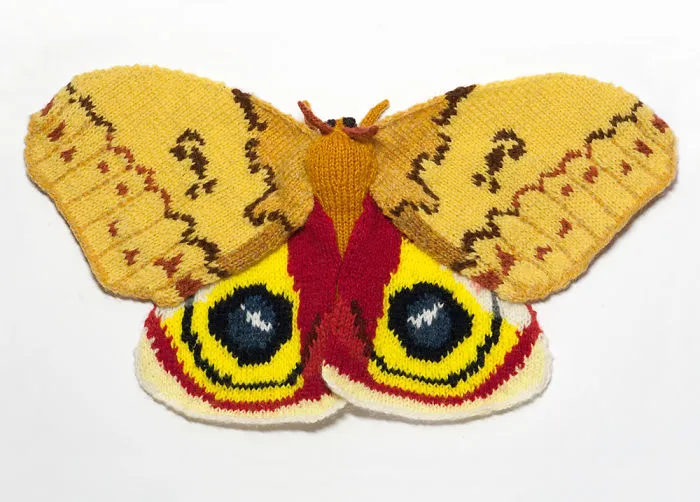 Io Moth (Automeris Io)