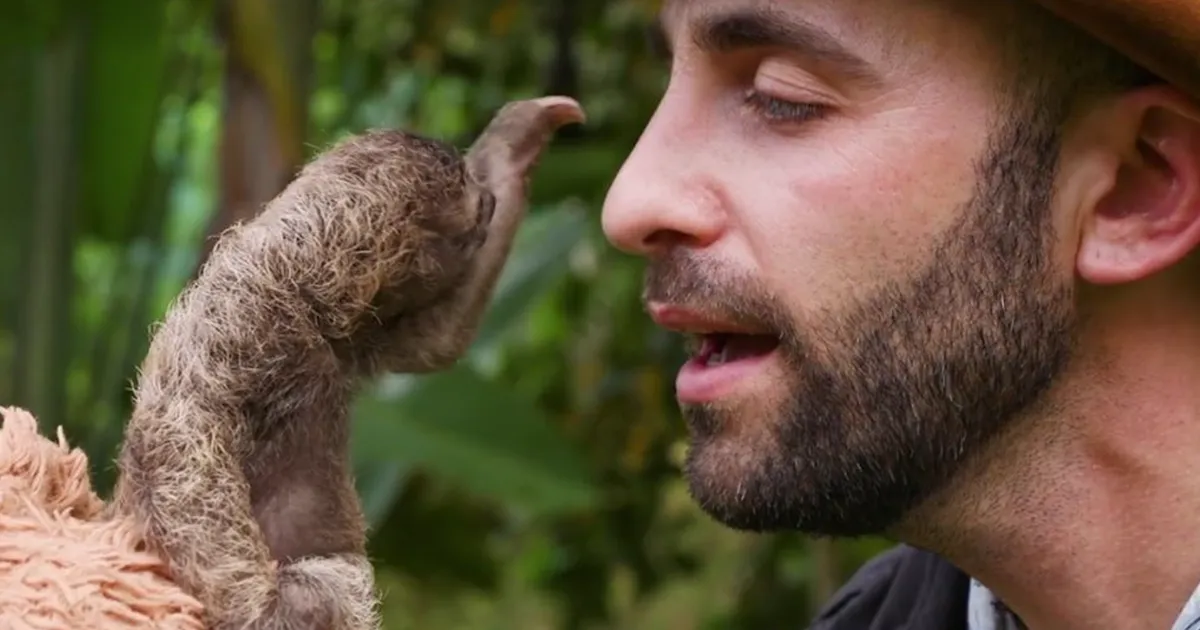The Slowest Boop