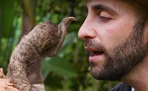 The Slowest Boop