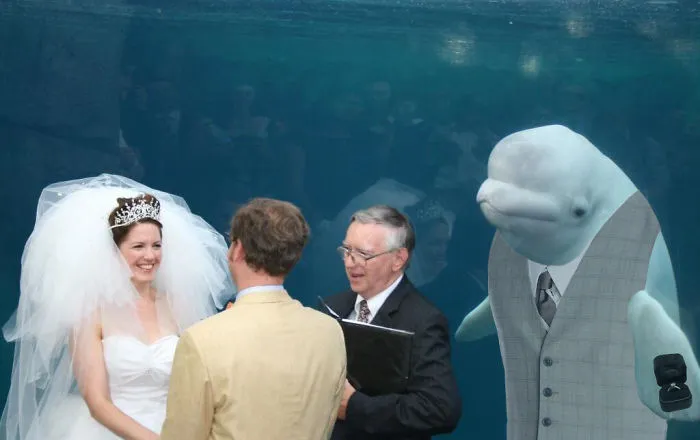 La Beluga Es El Padrino