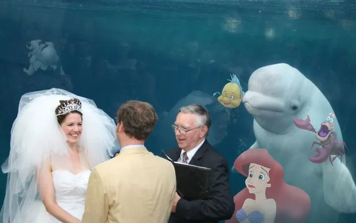 Under The Sea