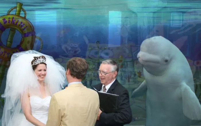 Boda En Fondo De Bikini