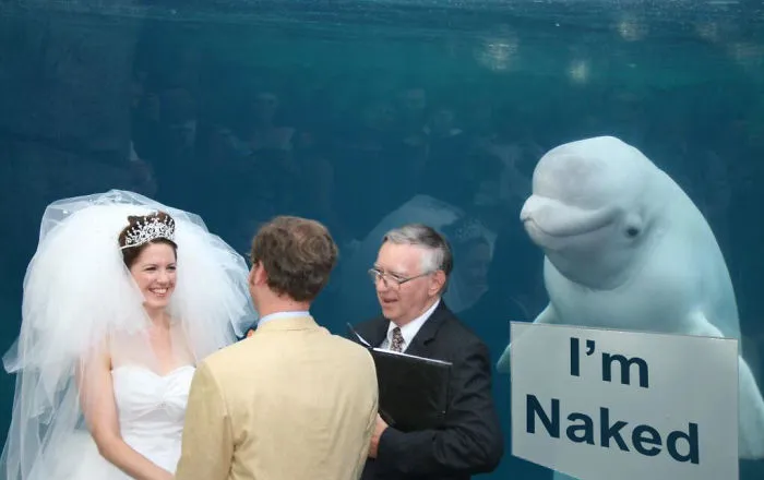 Classic Wedding Photobomb