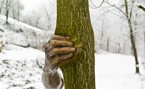This Bronze Sculpture Was Attached To A Tree In 1968, Here's How It Looks Now