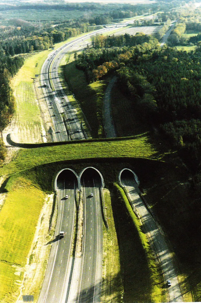 Ecoduct In The Netherlands
