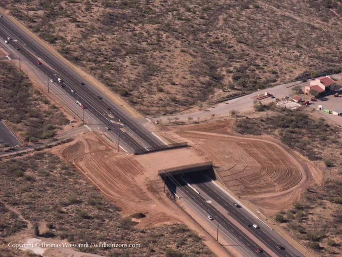 Cruce para animales en el desierto de Sonora