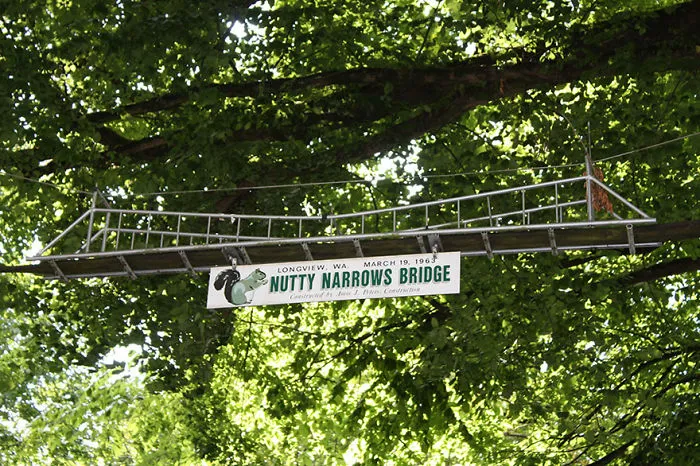 Squirrel Bridge In Washington
