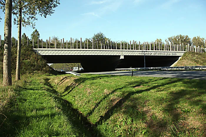 Wildlife Passing In The Netherlands