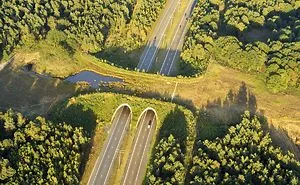 50 Amazing Animal Bridges And Crossings That Save 1000s Of Animals Every Year