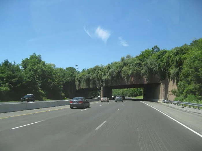Wildife Crossing In New Jersey
