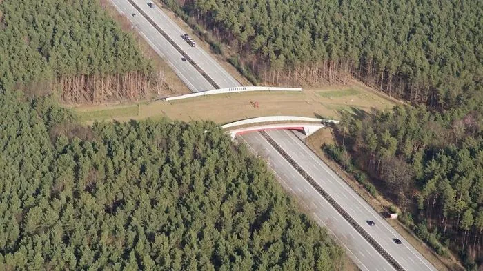 Land Bridge For Animals In Montana