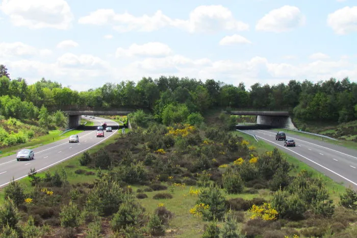 Ecoduct 'Harm Van De Veen' In The Netherlands