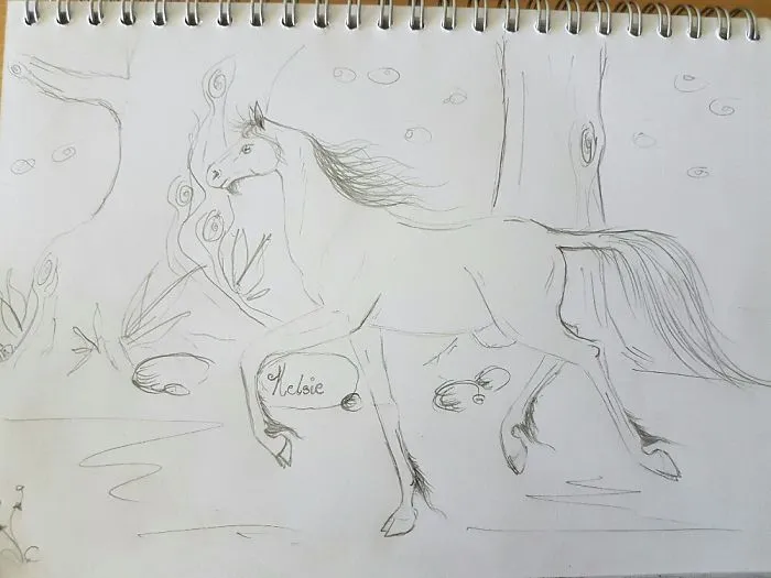 Hey Pandas, Our Reader Wants To Surprise Her Best Friend With A Unicorn, Let's Help Her