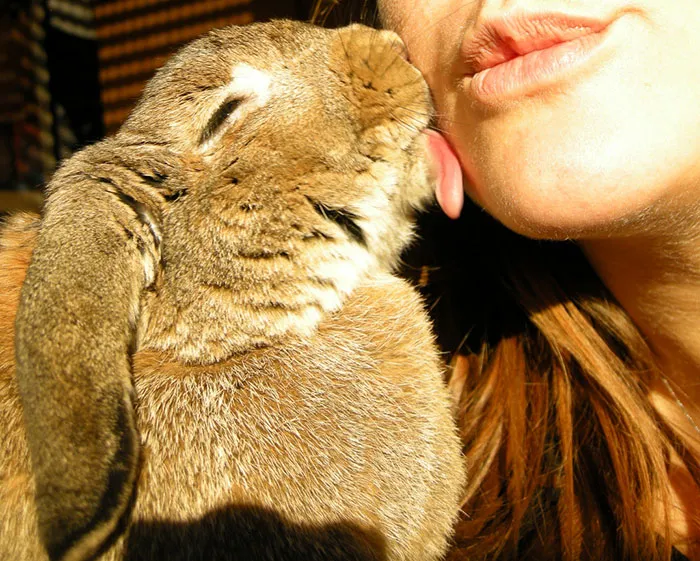 175 Of The Most Adorable Animal Mlems" Ever"