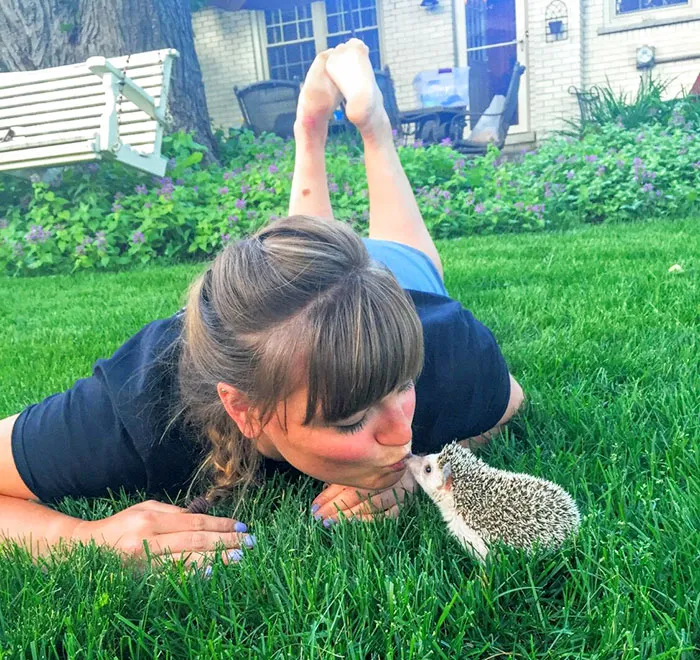 Cute Hedgehog