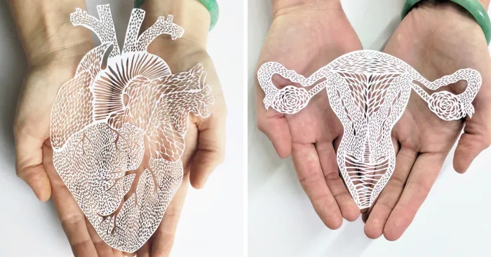 Recorto a mano en papel órganos anatómicos