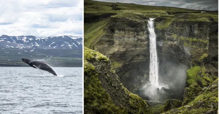 These Are My Favorite Photos Of The Beautiful Iceland