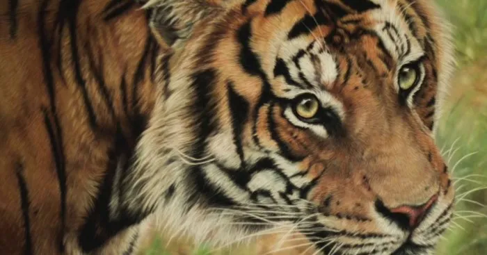 This Is Not A Photo!  Watch What This Artist Does With Pastels