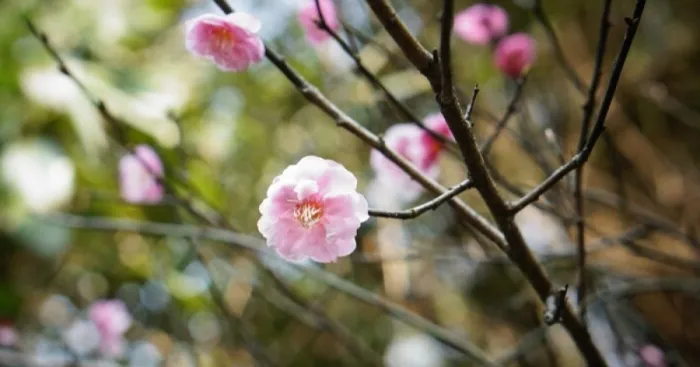 I Photograph The Beauty Of Nature