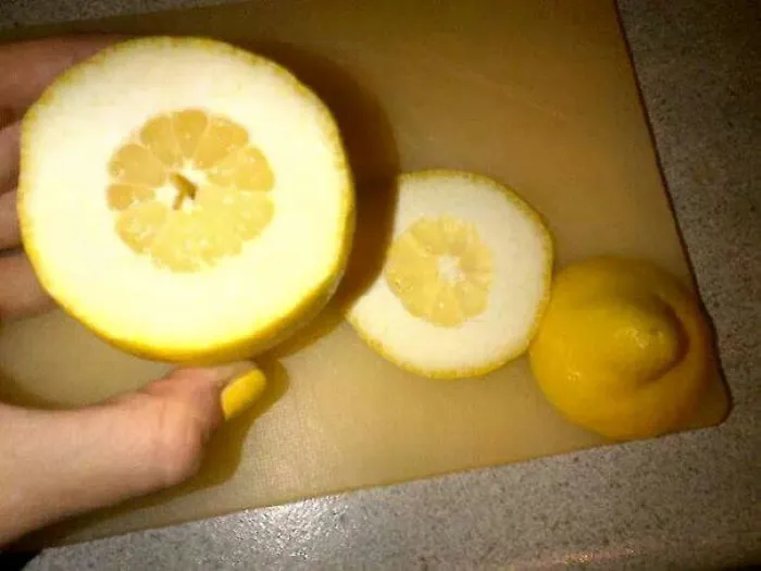 El Peor Limón Que Existe