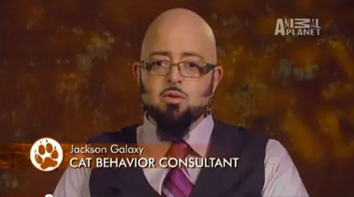 Man identified as a cat behavior consultant on a TV show, with a serious expression, wearing glasses and a tie.