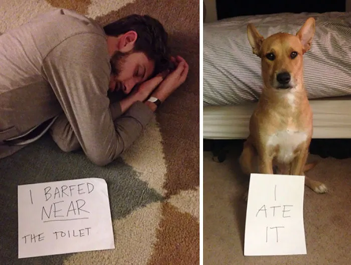 Got Blackout Drunk Last Night. My Girlfriend Helped Me Remember What Happened