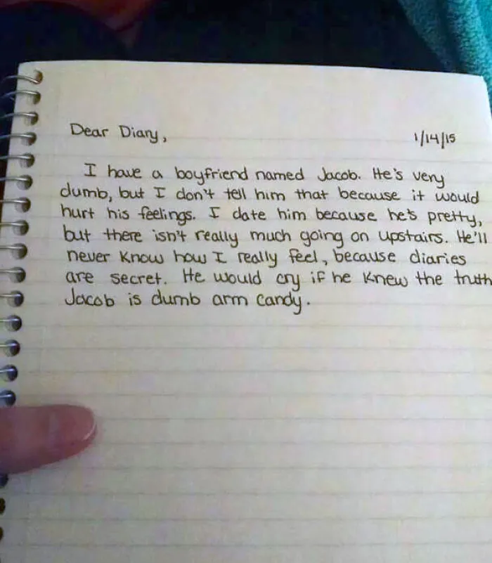 My Girlfriend Started A New Diary Today. I Got Curious And Took A Glance At It After Asking Her About It. Something Tells Me This A Dummy Diary