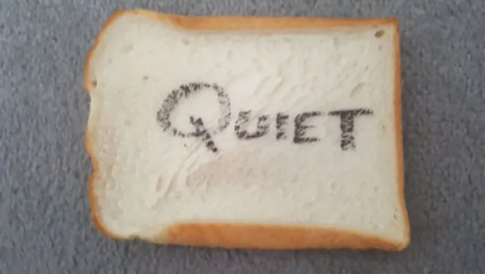 I Told My Wife That All I Wanted For Our Anniversary Was Peace And Quiet. 10 Mins Later She Throws This At Me