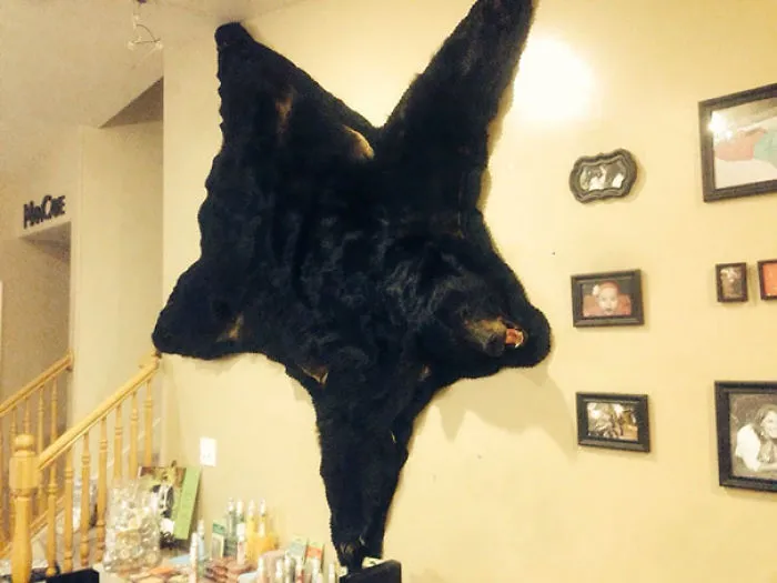First My Wife Said The Walls Were Too Bare, And Now They Are Too Bear