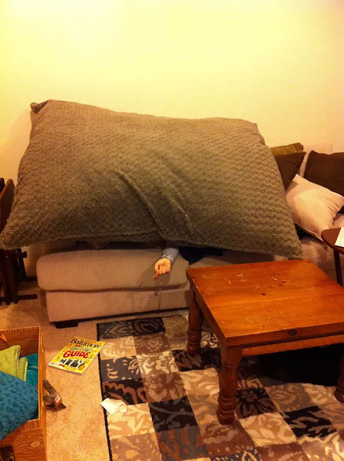 Wife Asked Me To Get Her A Pillow. Nailed It