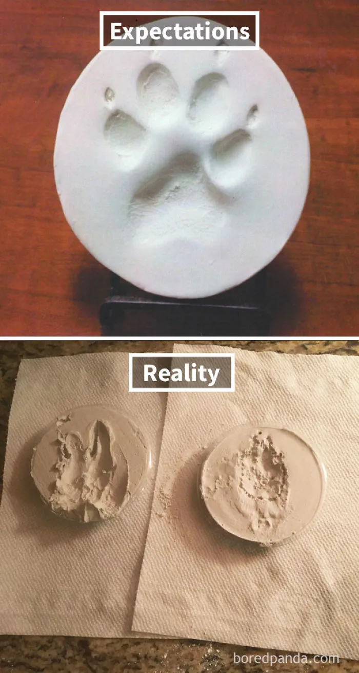 Cute Little Paw Print Ornament Fail