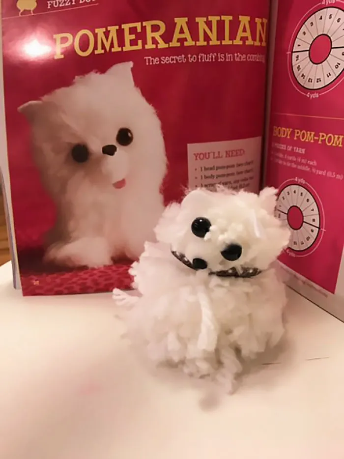 Dog Toy Fail
