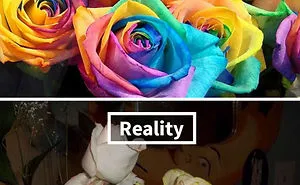 50 DIY Fails That Are So Terrible It's Impossible Not To Laugh At