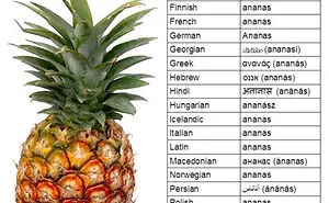 67 Hilarious Reasons Why The English Language Is The Worst
