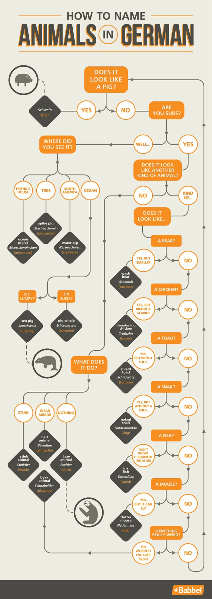 Naming Animals In German