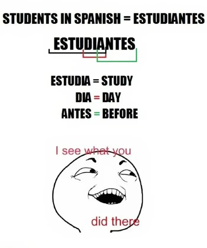 47 Hilarious Reasons Why The Spanish Language Is The Worst