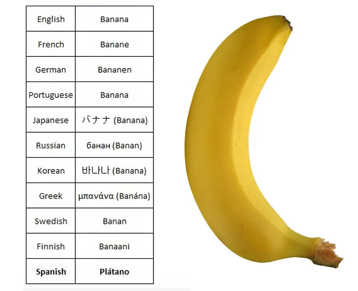 47 Hilarious Reasons Why The Spanish Language Is The Worst