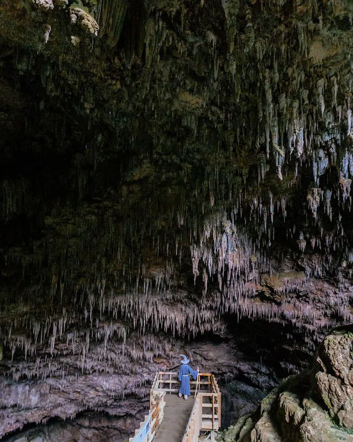 Este fotógrafo viaja por Nueva Zelanda con un disfraz de Gandalf y sus fotos son épicas