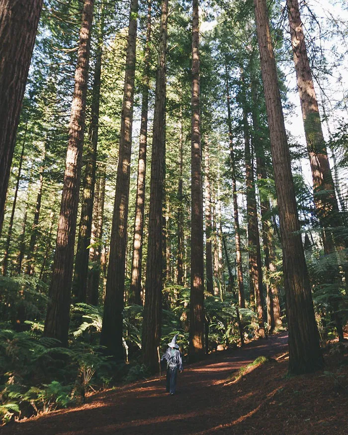 Photographer Travels Across New Zealand With Gandalf Costume, And His Photos Are Epic